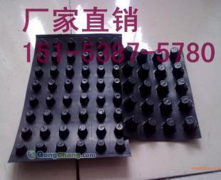 渭南屋面种植隔根板与园林绿化排水板 绿色建筑的关键组件