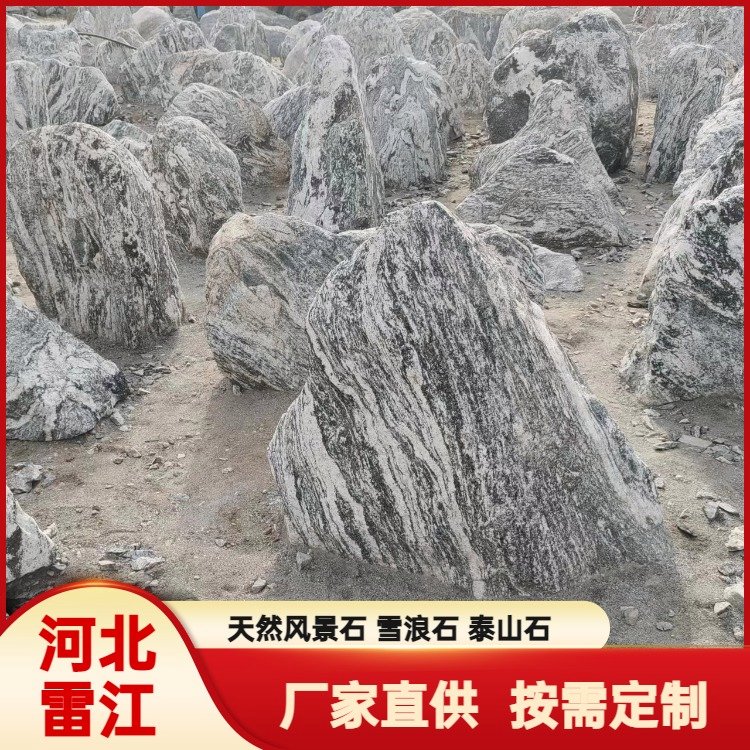 价格背后的“王者” 探索真正的泰山石在园林绿化中的价值所在