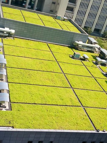 海绵城市建设屋顶绿化验收啦