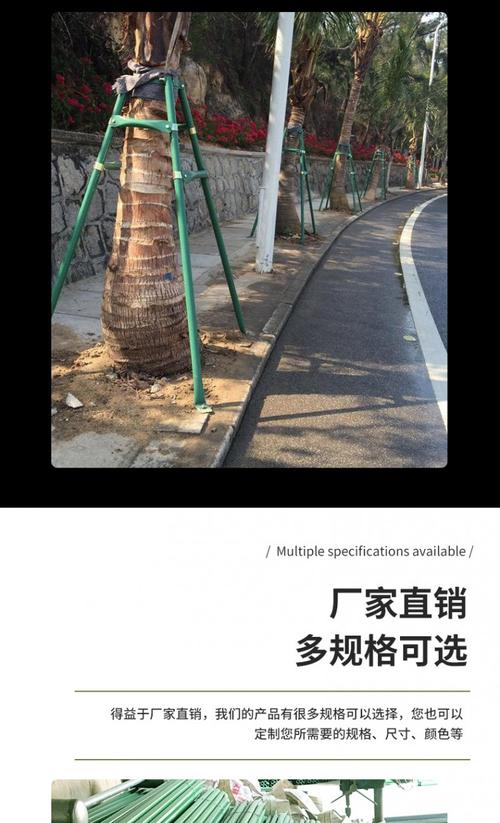 四川厂家园林绿化树木支撑架防风防倒大树固定器镀锌钢管扶树杆大树架